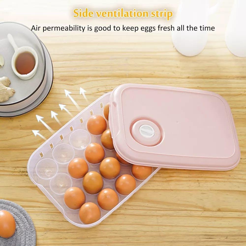ORGANIZADOR DE HUEVOS X 20 UNIDADES