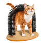 ARCO MASAJEADOR PARA GATOS